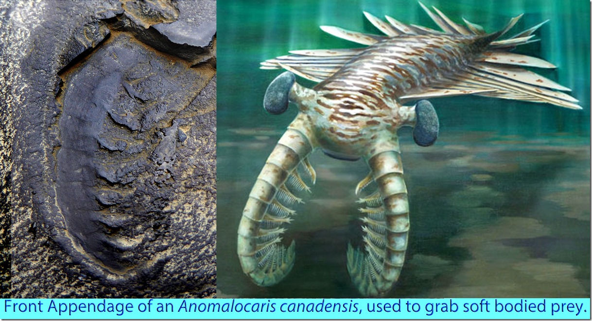 P1000014