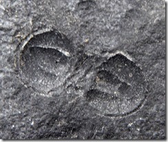 P1000077