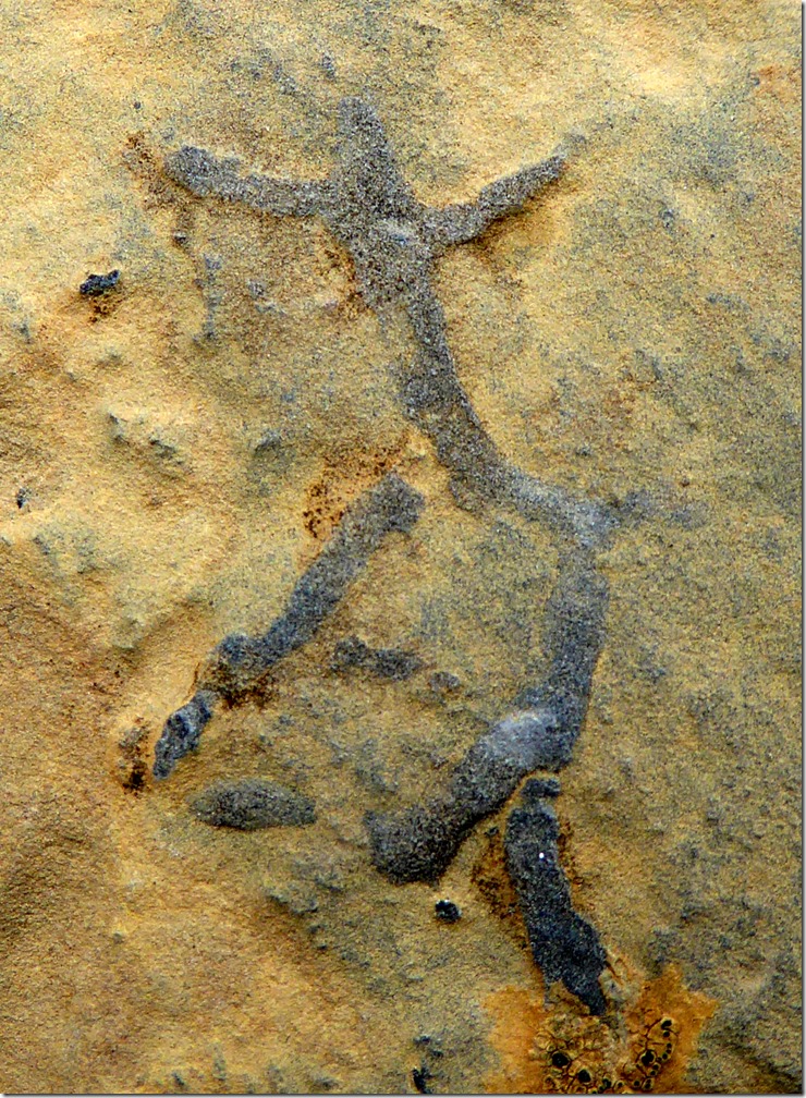 P1000092