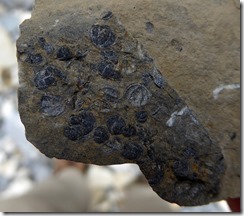 P1000093