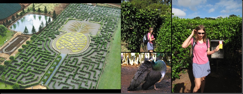 014_maze