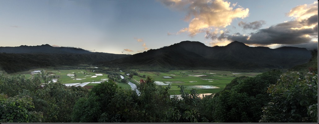 054_fields