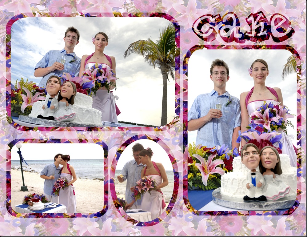 Wedding in Barcelo Mayan beach Resort