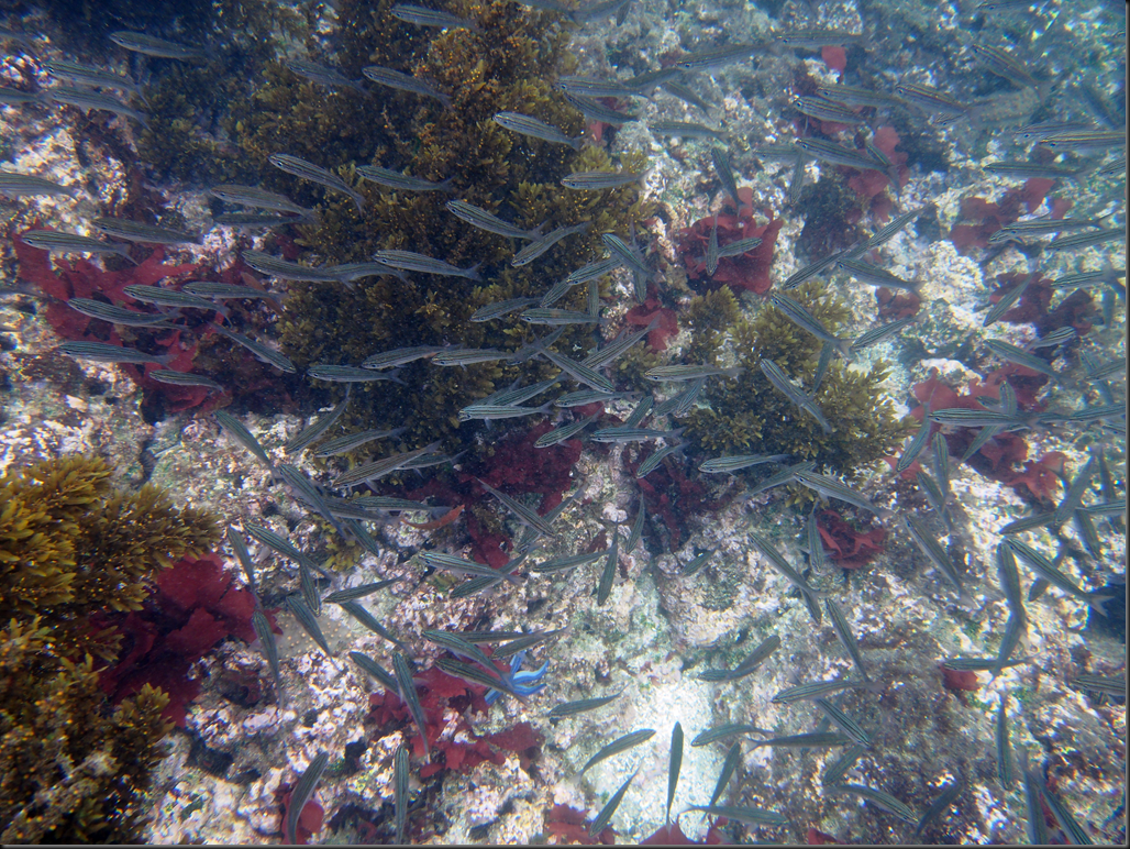 P2030150