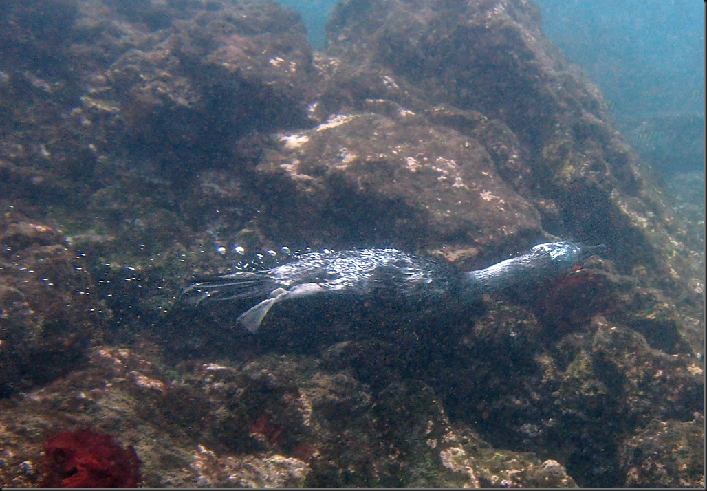 P2030155