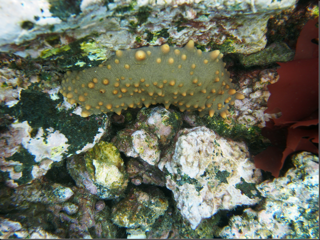 P2030163