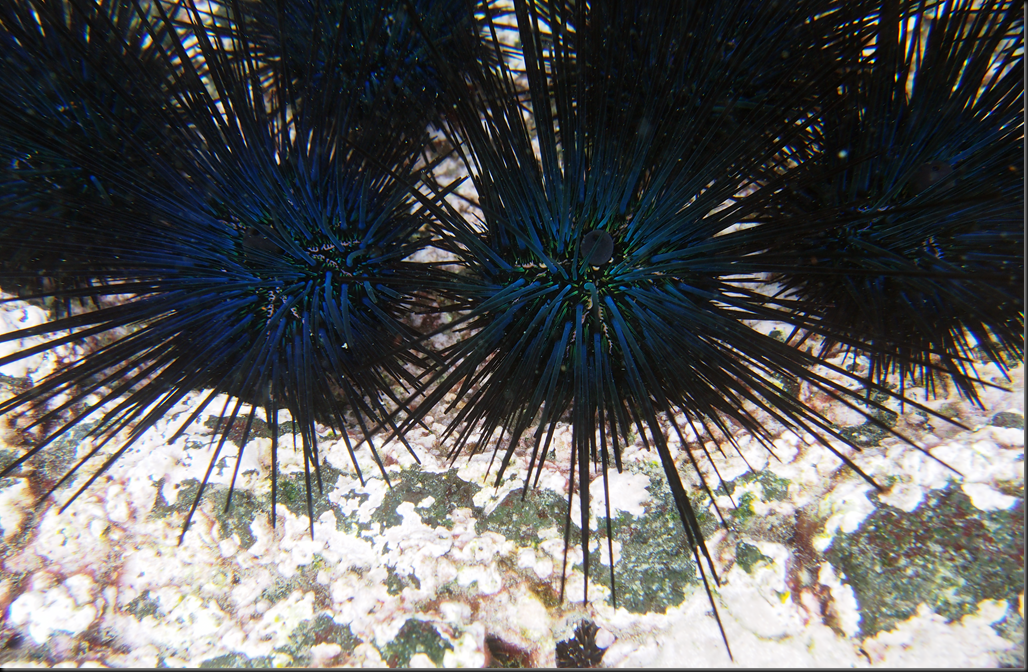 P2030165