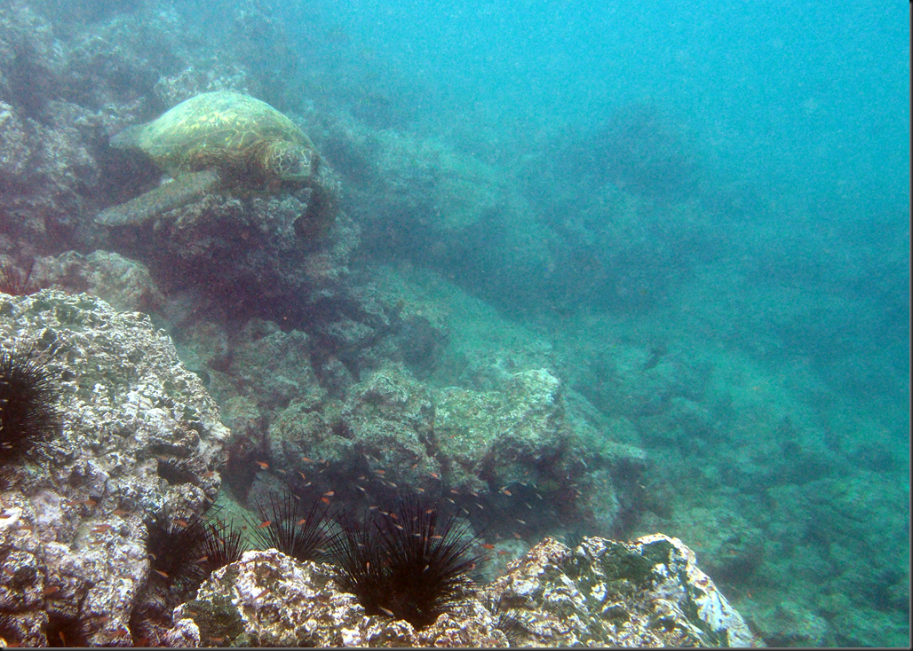 P2030169