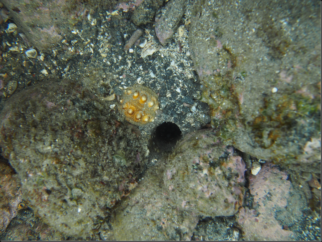 P2030178