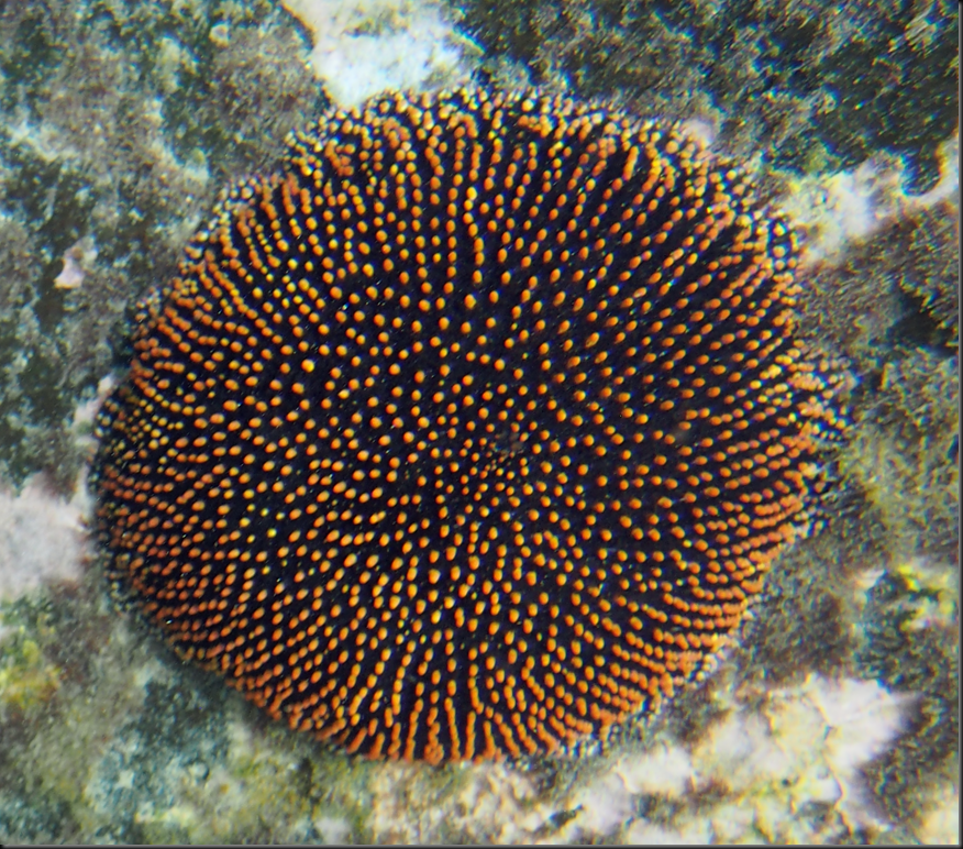 P2030188