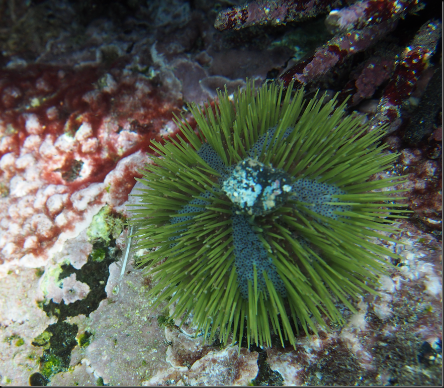 P2030209