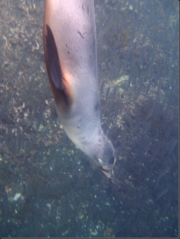P2040097