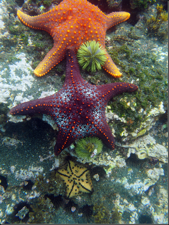 P2040118