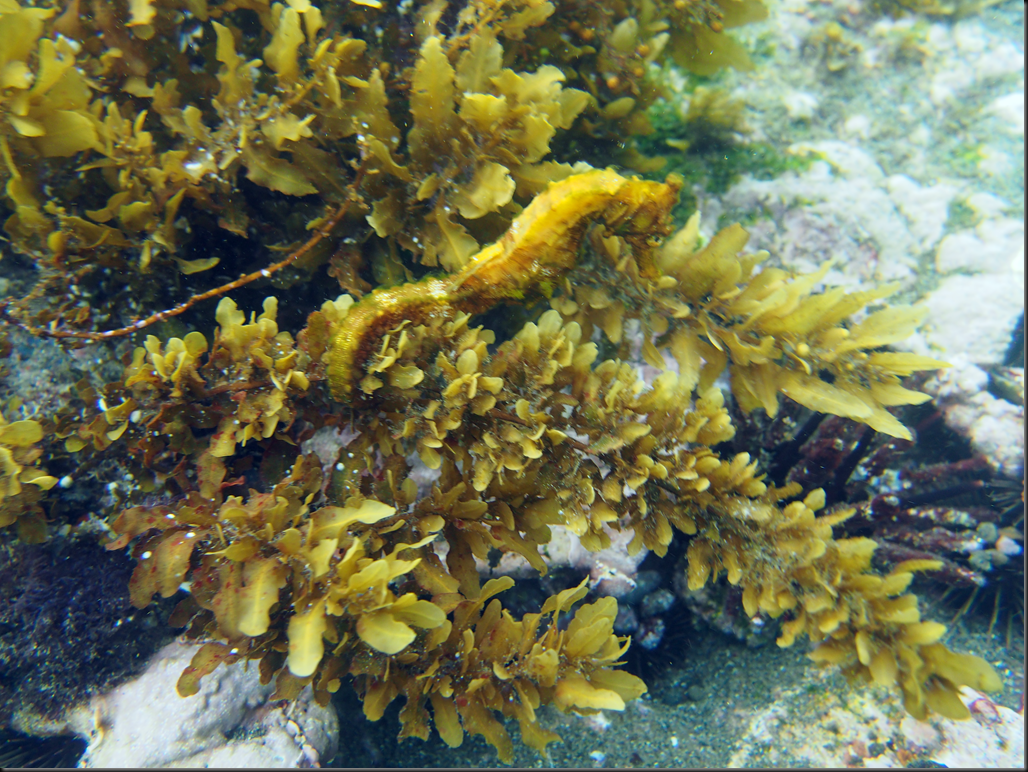 P2040123