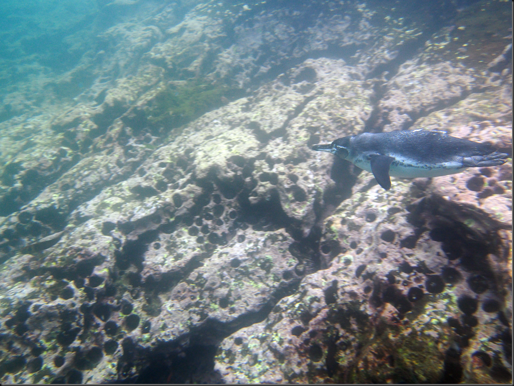P2040126