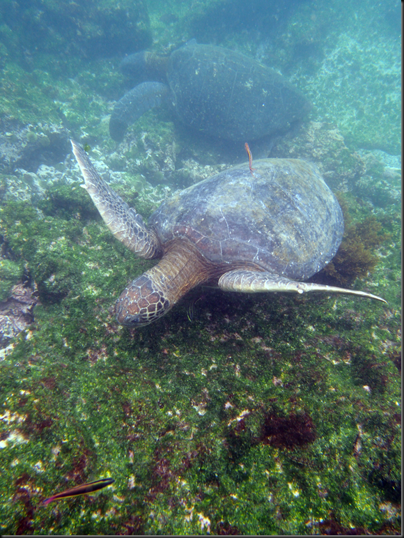P2040141