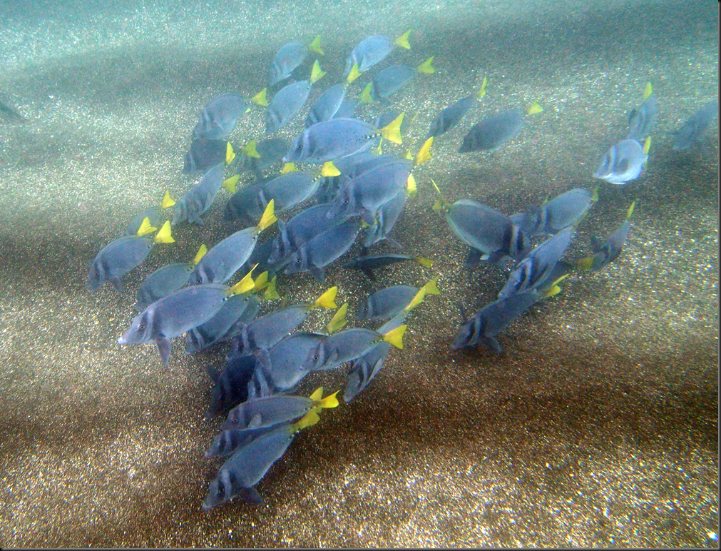 P2050071