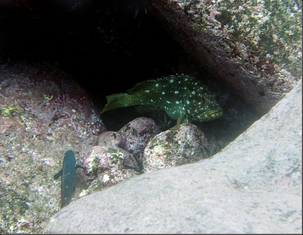 P2050075