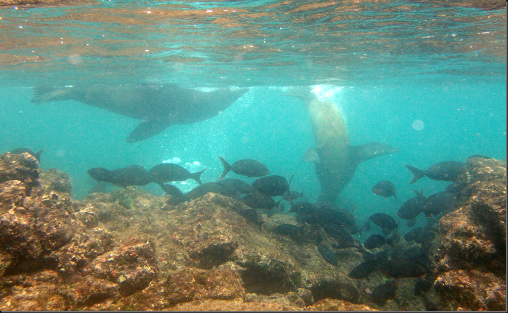 P2050087