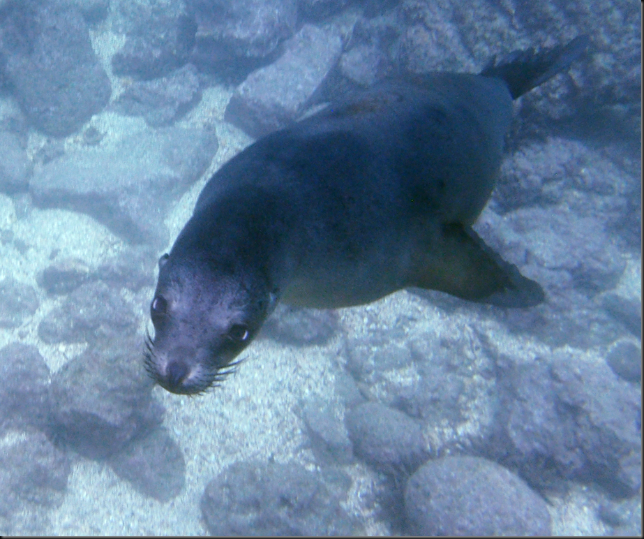 P2050121