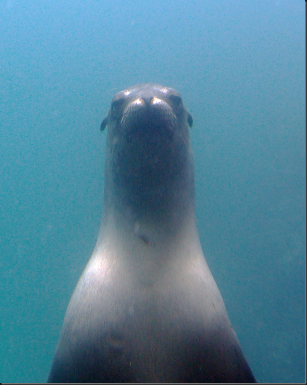 P2050128