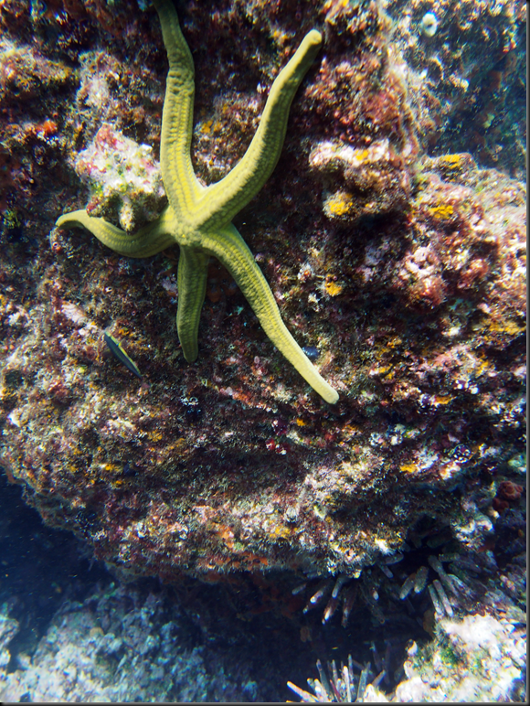 P2060050