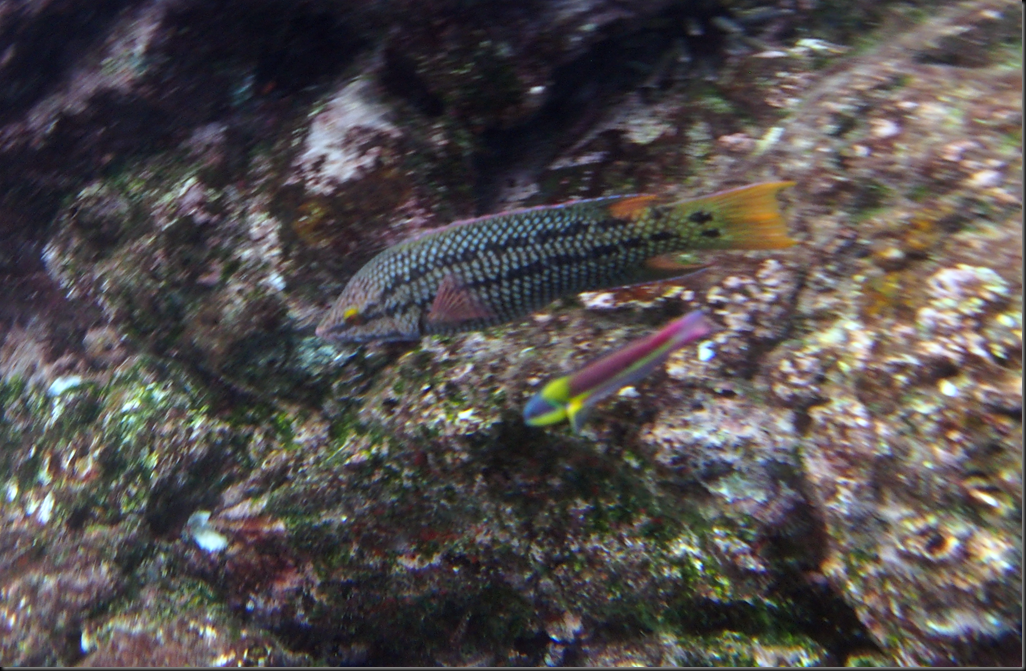 P2060208