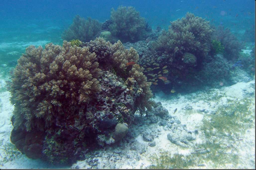 P6220005