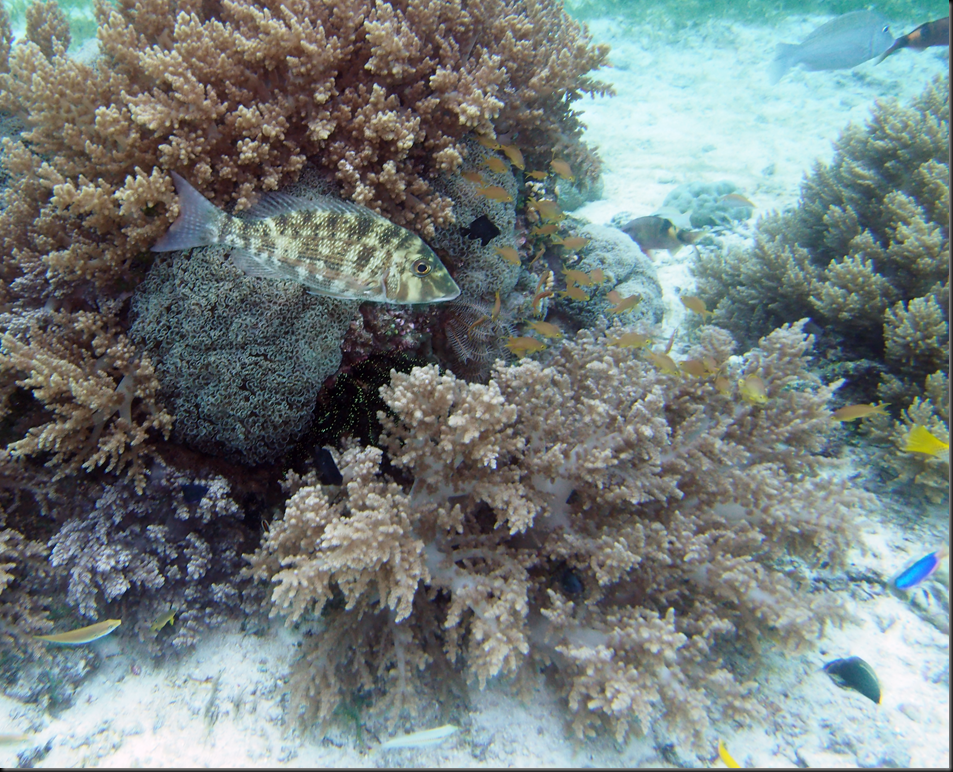 P6220016