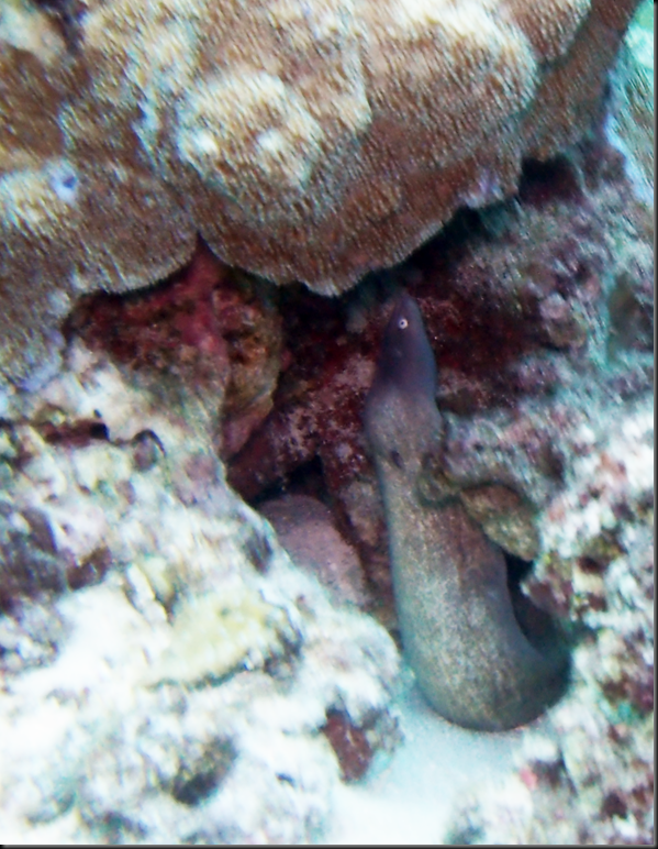 P6220020