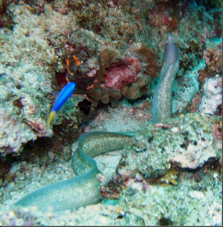 P6220025