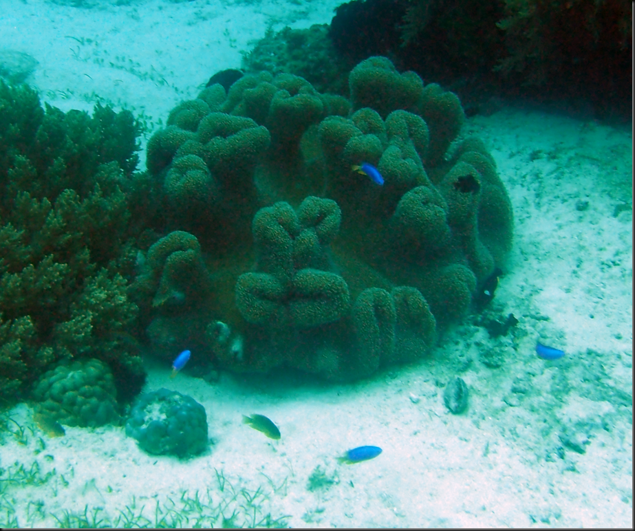 P6220062