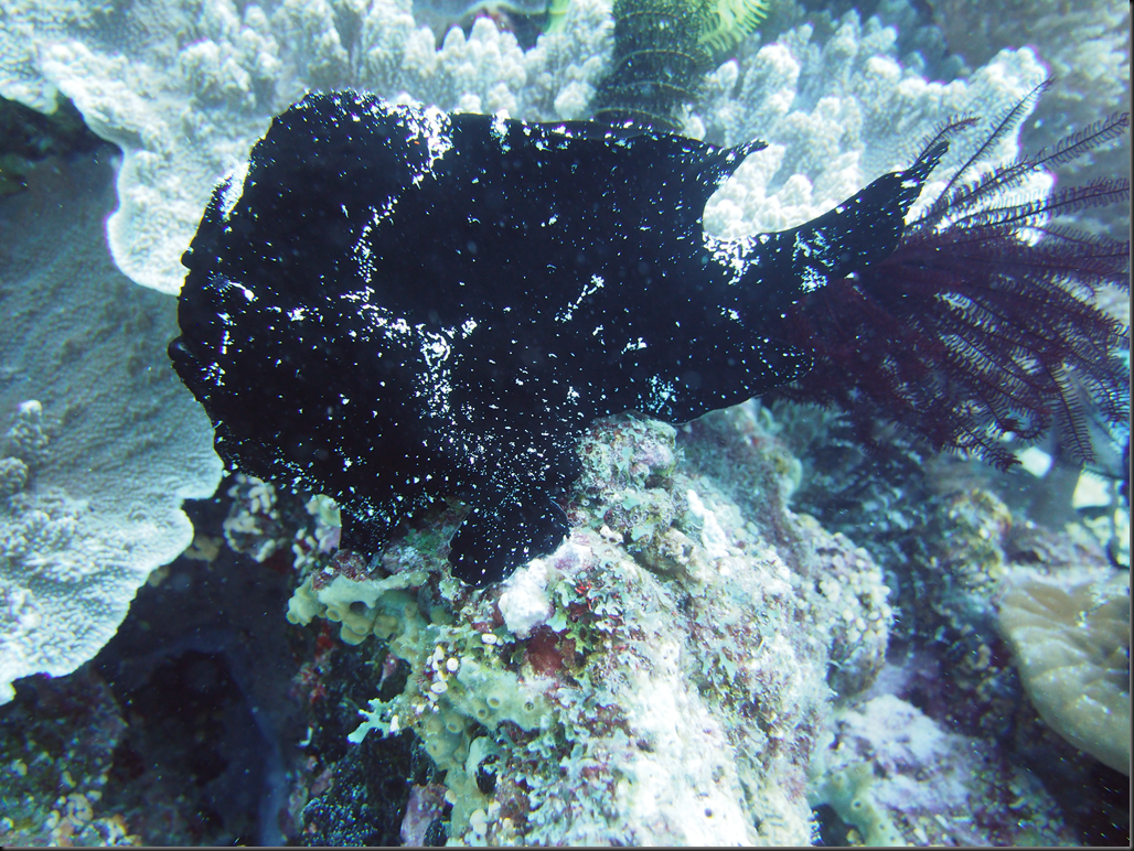 P6220098