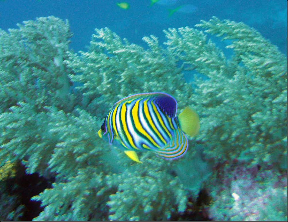 P6220128