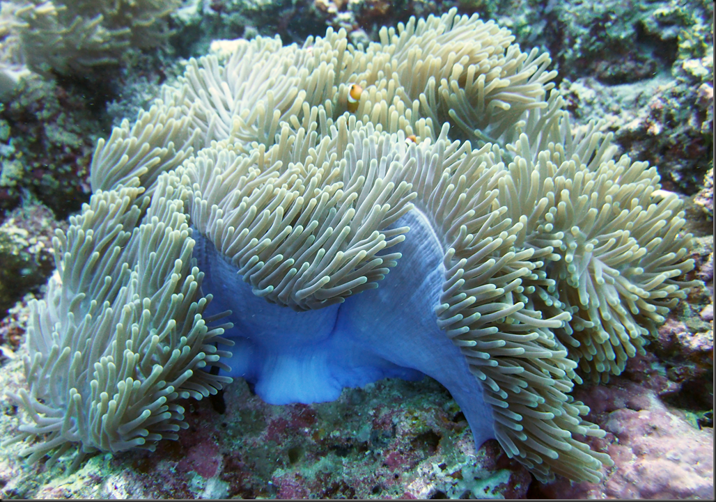 P6220164