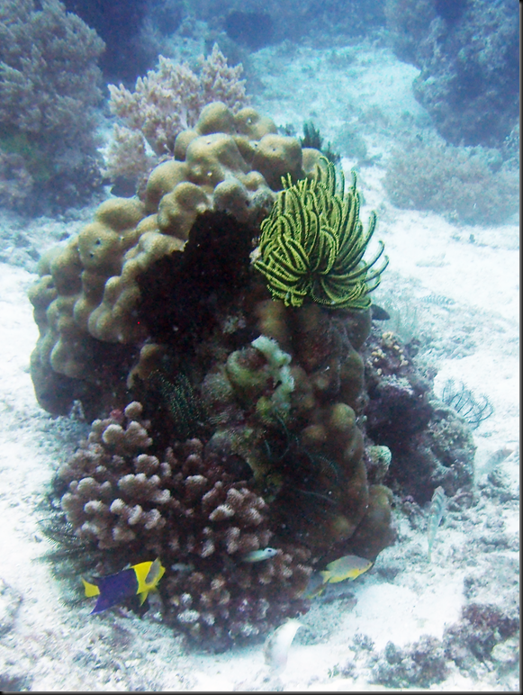 P6220213