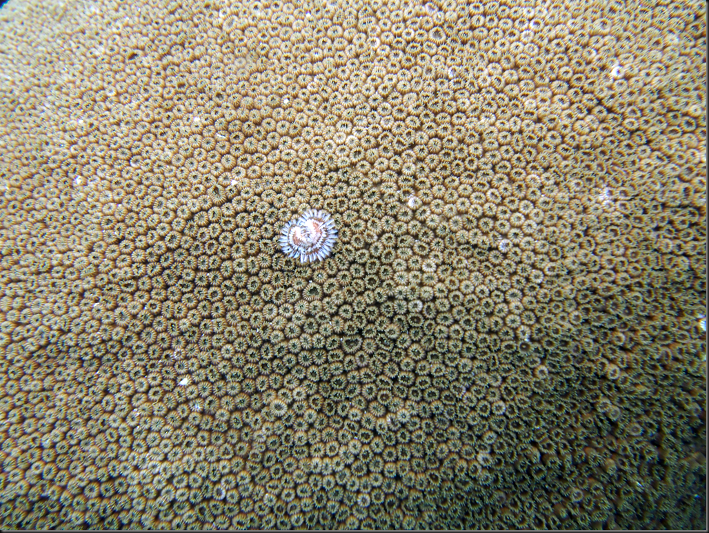 P6220245