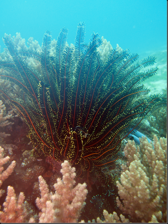 P6220263