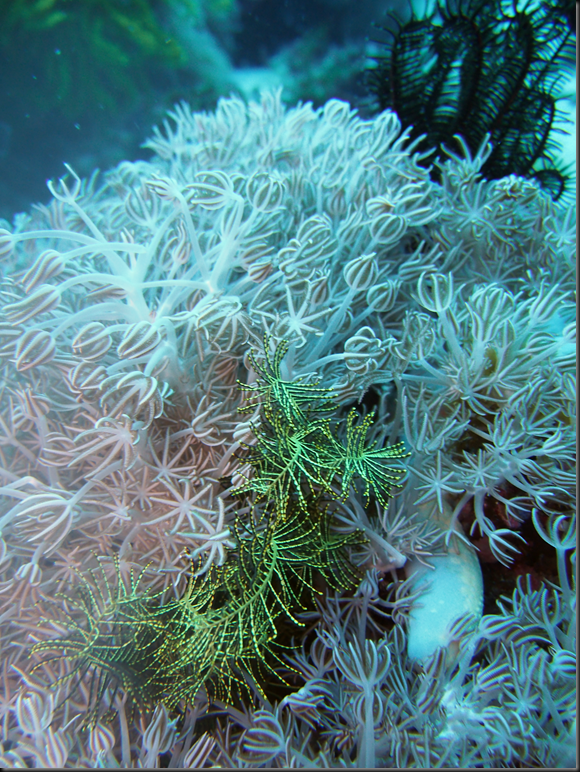 P6220276