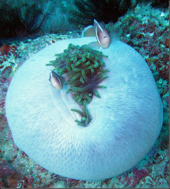 P6220284