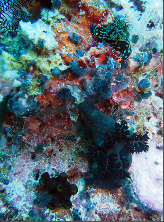 P6220296