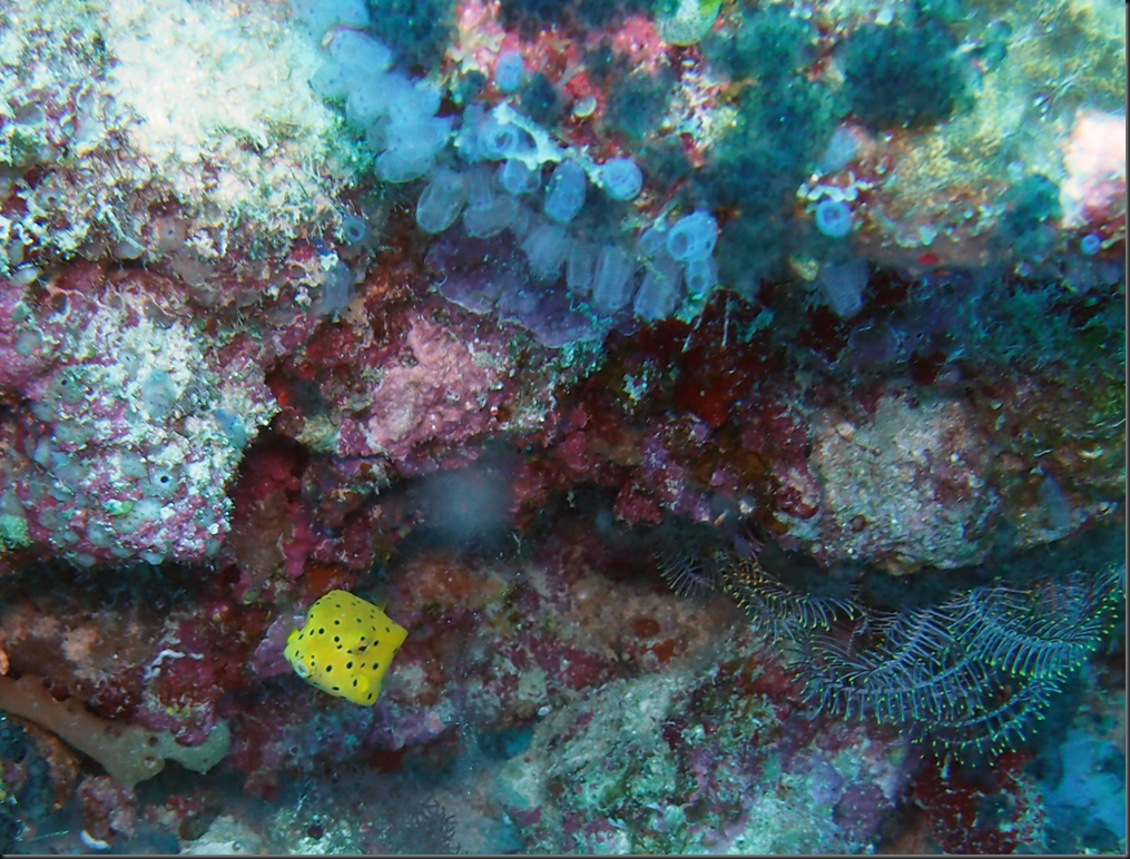 P6220308