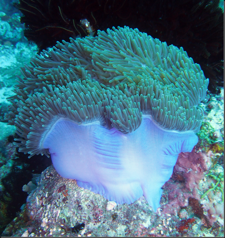 P6220315