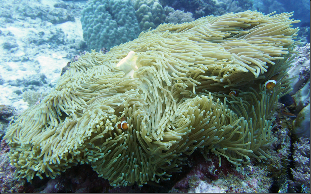 P6220335