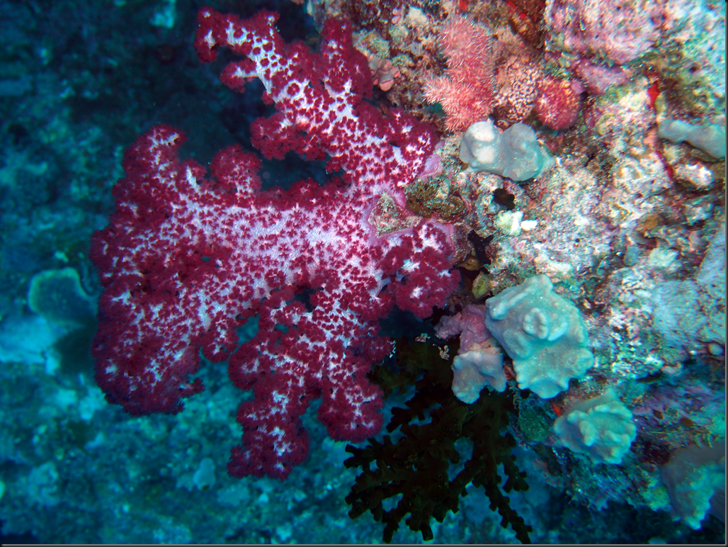 image_thumb3