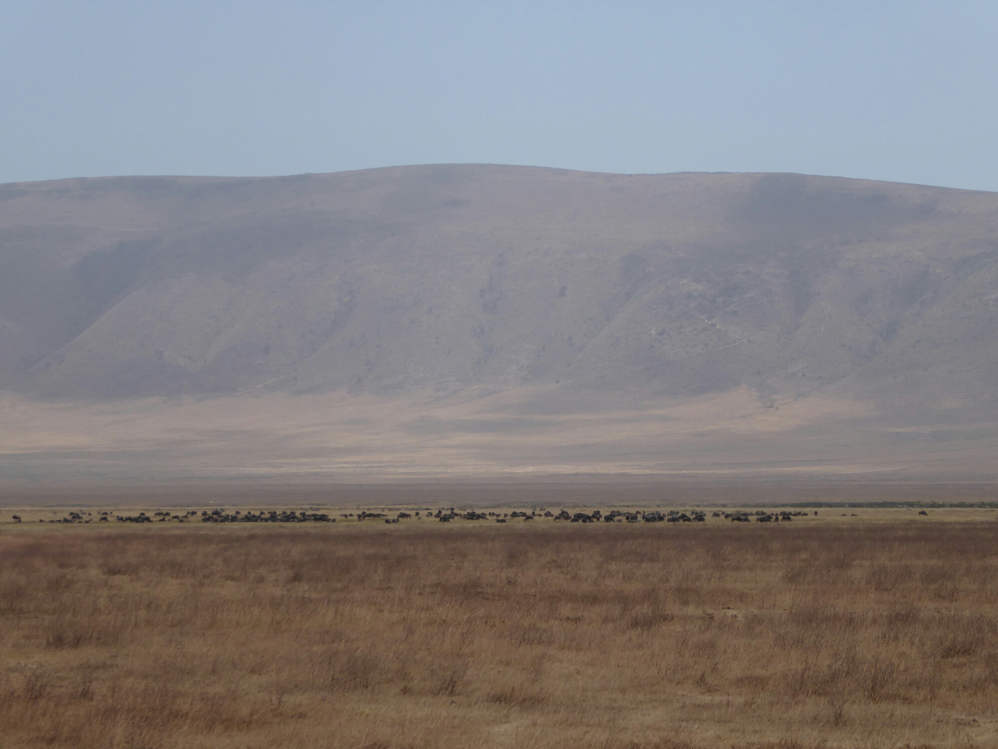 P1000305.jpg image