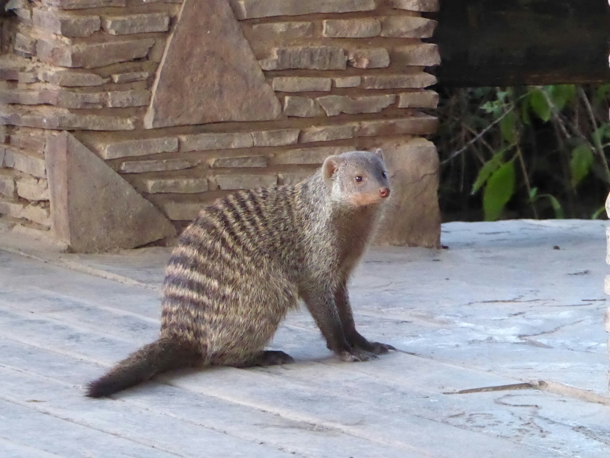 P1000575.jpg image