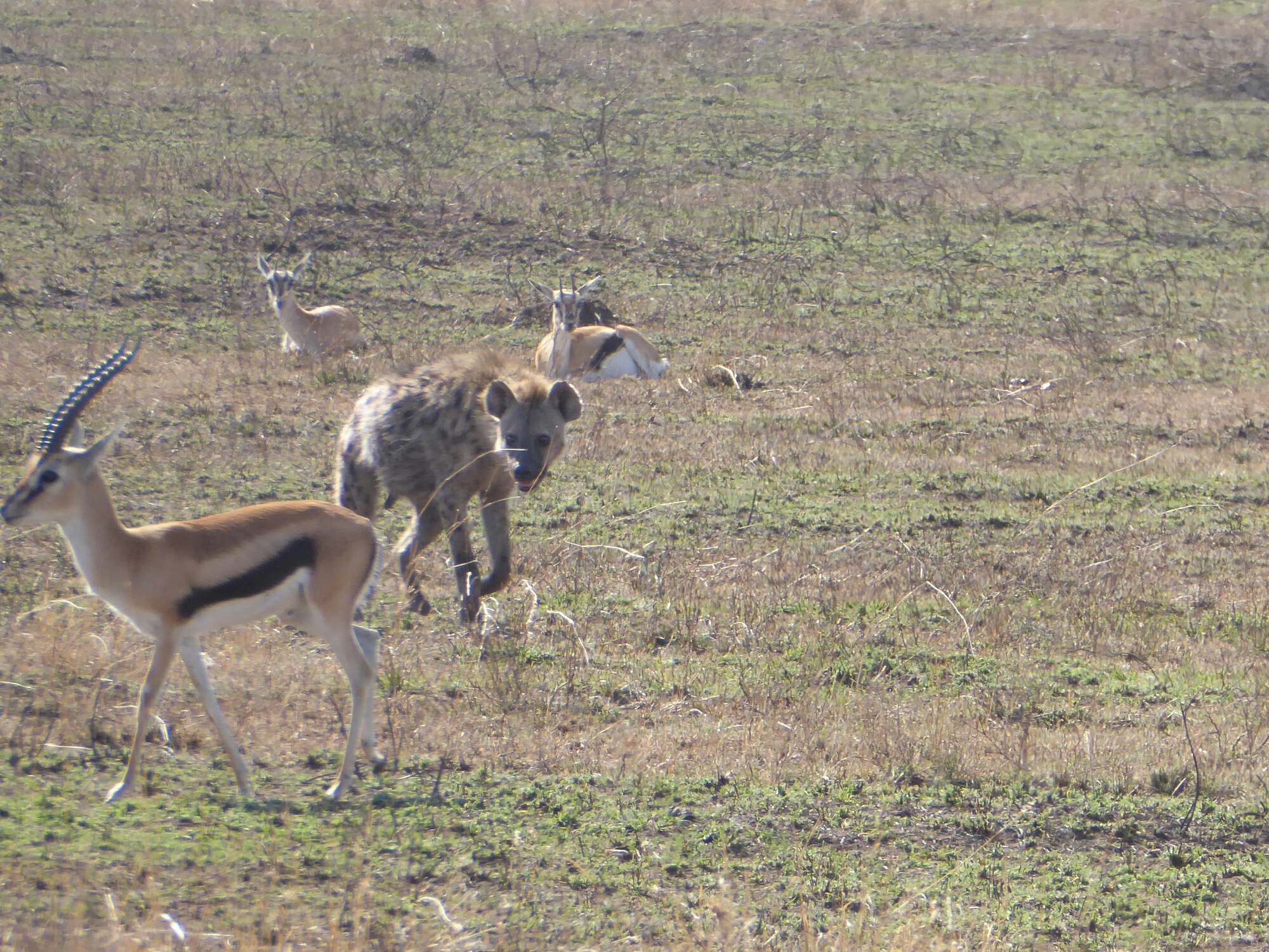 P1010258.jpg image