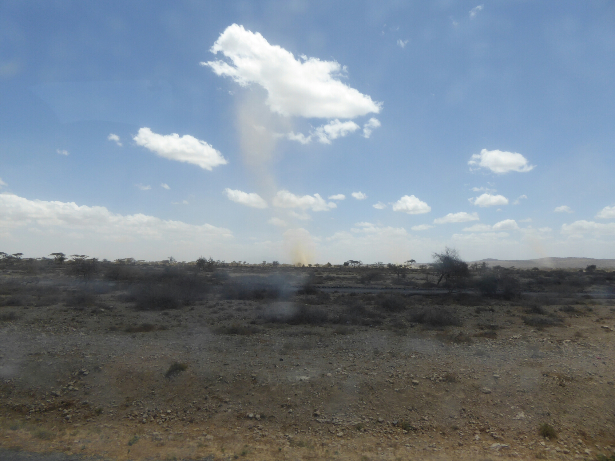 wp-1441711803264 image