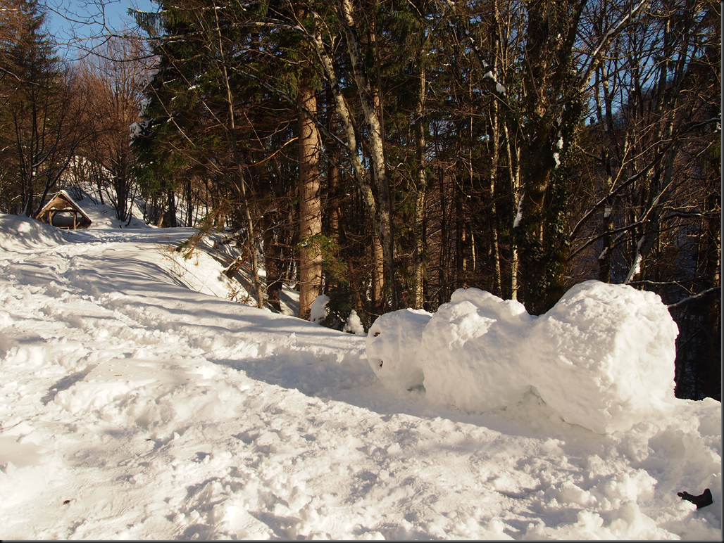 image_thumb1